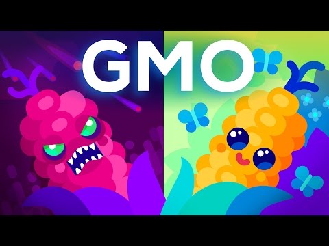 Are GMOs Good or Bad? Genetic Engineering &amp; Our Food