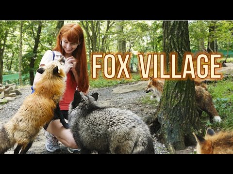 Fox Village in Zao Japan! 蔵王きつね村・kitsune mura