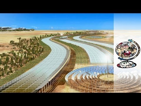 Qatar&#039;s Ambitious Plan to Turn the Desert Green