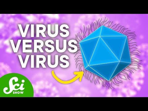 The Baffling Viruses That Infect... Other Viruses
