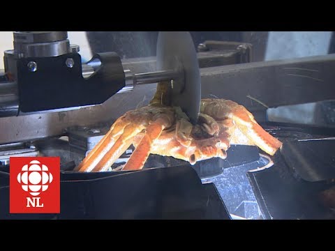Can robots process crab?