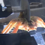 Can Robots Process Crab? – Automation