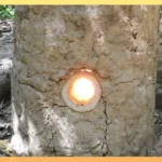 Primitive Technology: Natural Draft Furnace