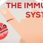 The Immune System Explained – Bacteria Infection Kurzgesagt – In a Nutshell